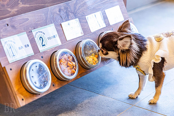 愛犬用選べるおやつ